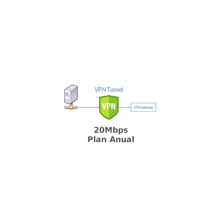 IP Pública Fija 20Mbps - Plan Anual