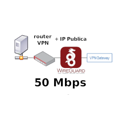 Router VPN + 1 IP Publica...