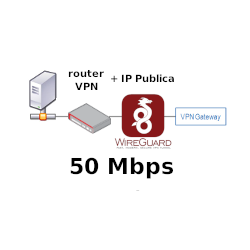 Router VPN + 1 IP Publica fija @80Mbps Plan Anual