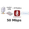 Router VPN + 1 IP Publica fija @80Mbps Plan Anual