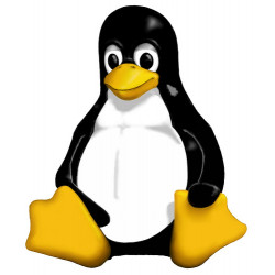 Soporte Tecnico Linux