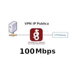 IP Publica fija @100Mbps Plan Anual