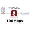 IP Publica fija @100Mbps Plan Anual