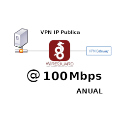 IP Publica fija @100Mbps...