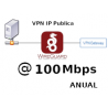 IP Publica fija @100Mbps Plan Anual