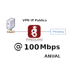 IP Publica  fija 100Mbps Anual