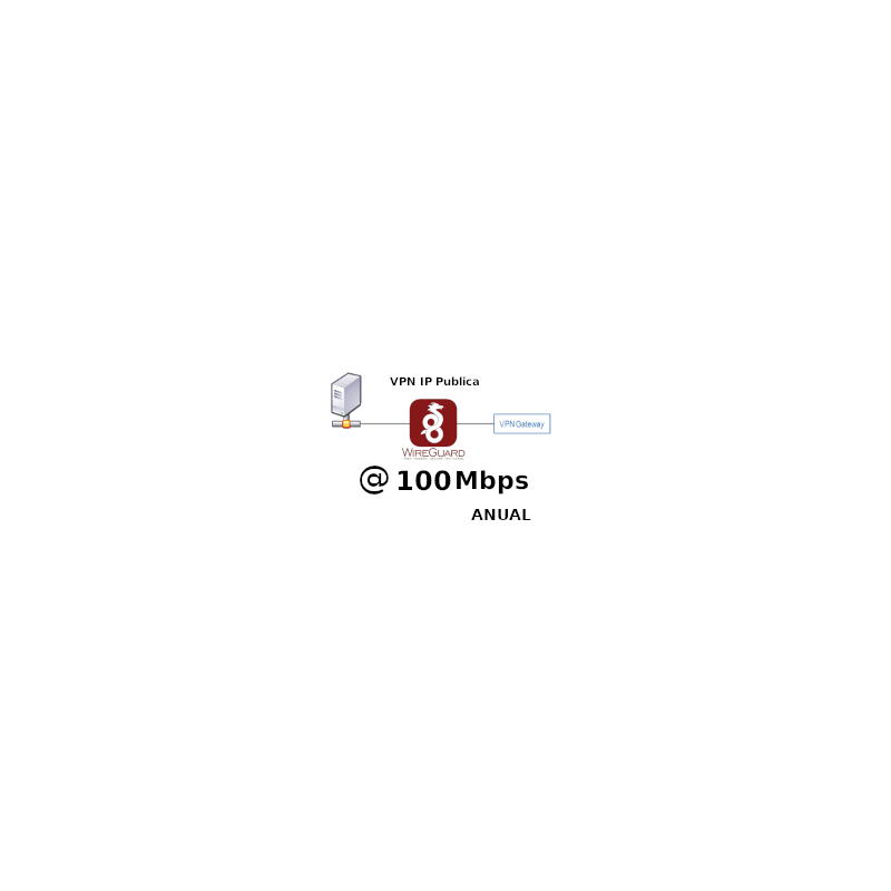IP Publica  fija 100Mbps Anual