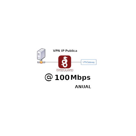 IP Publica fija 100Mbps Anual