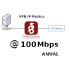 IP Publica  fija 100Mbps Anual