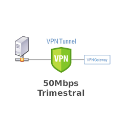 IP Pública Fija 50Mbps - Plan Trimestral